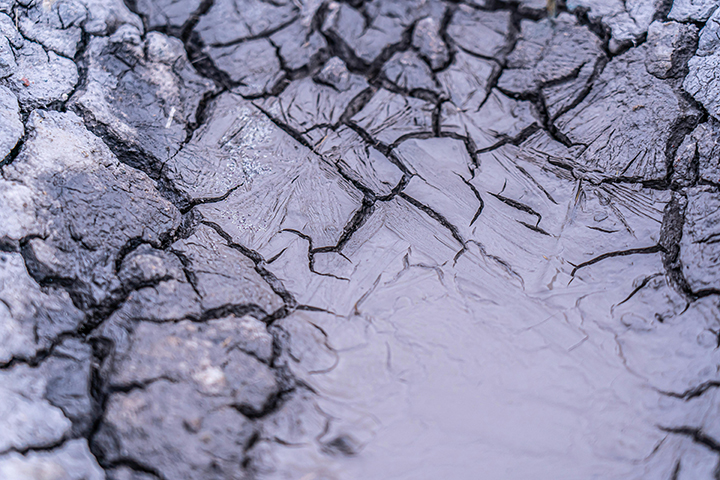 pexels-castorlystock-8820855